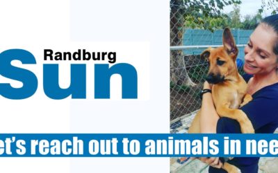 Let’s reach out to animals in need