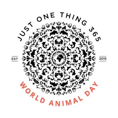 world animal day