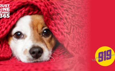 Here’s How You Save ONE Life This Winter
